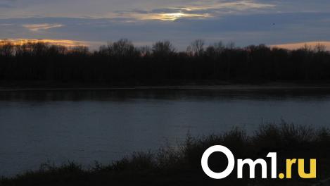 Омские рыбаки назвали место, откуда рыбу вывозят мешками