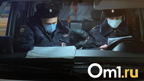 Местный житель пытался застрелить полицейского под Новосибирском