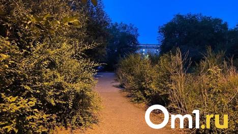 Молодые омичи обокрали школьника, угрожая ножом