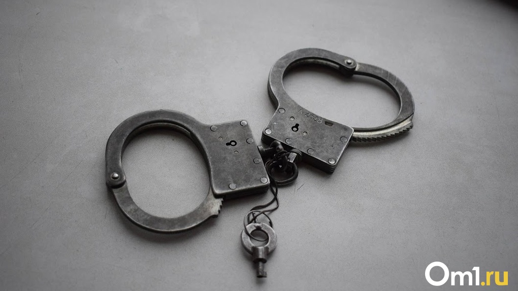 Схватили школьницу и отобрали телефон: двое мужчин ограбили детей в Новосибирске