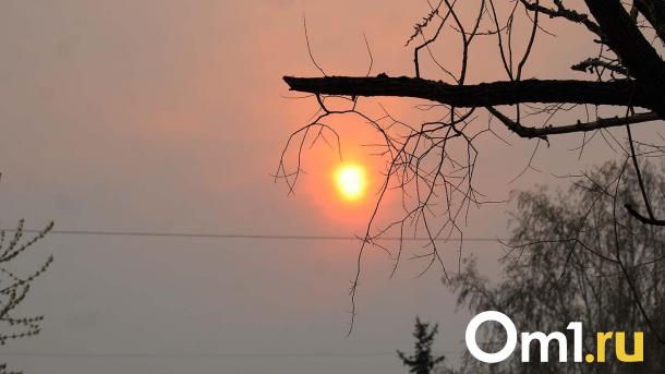 Омичей ждёт экстремальная магнитная буря