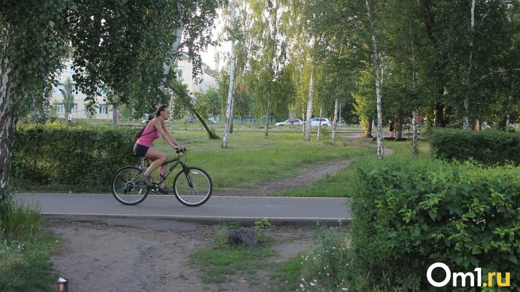 В Омской области перекроют дорогу из-за соревнования «Королева спорта»