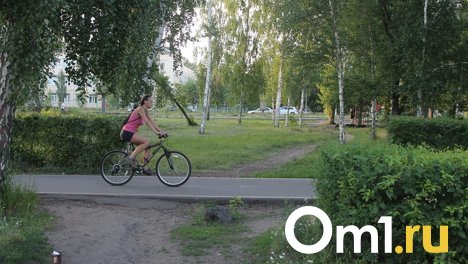 В Омской области перекроют дорогу из-за соревнования «Королева спорта»