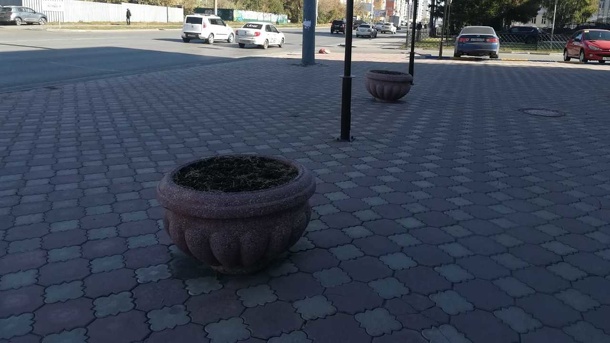 Омск покидают краски: городские клумбы очищают от цветов (Фото)