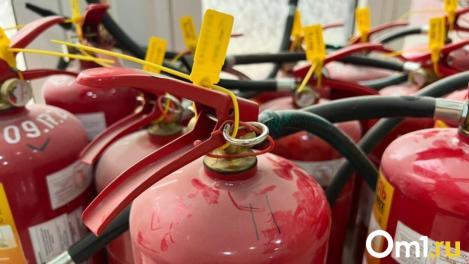 Из автобуса на стоянке в новосибирском Толмачёво повалил дым