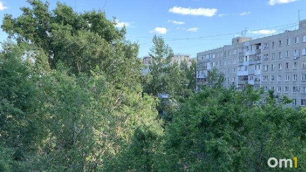 Скверу на Красном Пути вновь грозит вырубка
