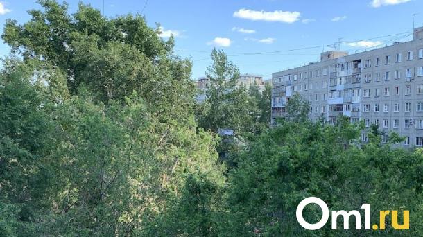 Скверу на Красном Пути вновь грозит вырубка