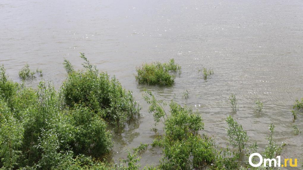 В Омской области утонули ещё двое мужчин