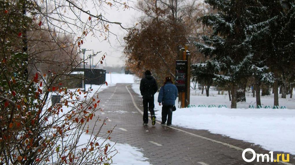 Омск окажется в центре самого мощного снежного циклона Евразии