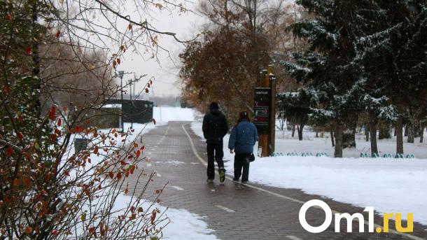 Омск окажется в центре самого мощного снежного циклона Евразии