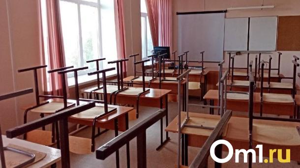 Омские школы переводят на дистант из-за проблем с отоплением