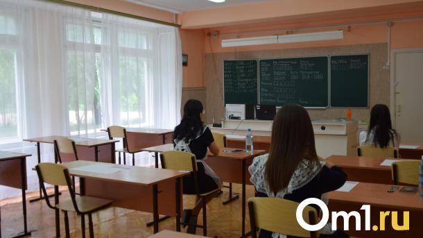 В Омске стартует экзаменационная пора: школьники сдают ЕГЭ и ОГЭ