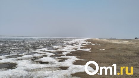 Качели от +21 до -9: о нестабильной погоде в октябре предупредили новосибирцев