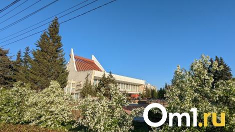 В Омске объявили программу «Ночи музеев»