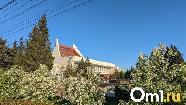 В Омске объявили программу «Ночи музеев»