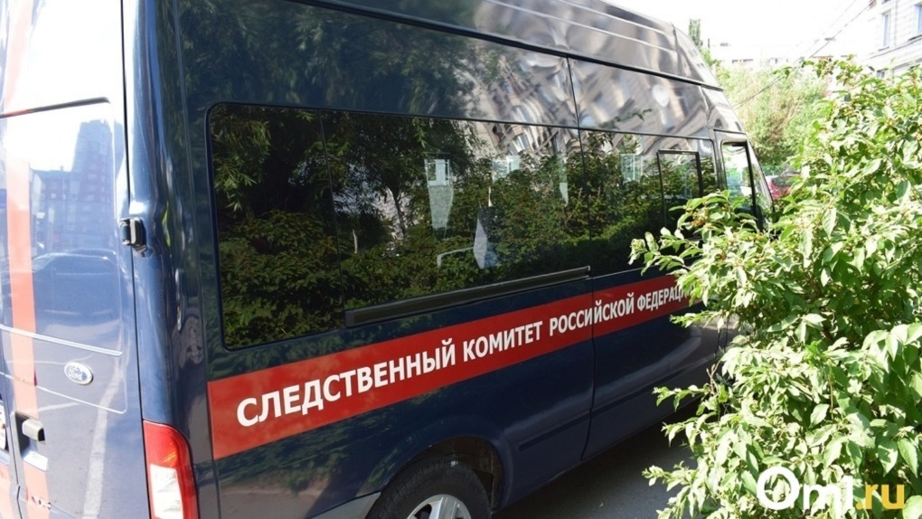 Ребёнок умер на месте: мужчина на грузовике сбил собственного сына в Новосибирске