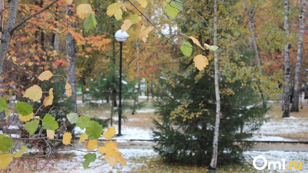 Снег с дождём и минусовые температуры: чего ждать новосибирцам от погоды на выходных?