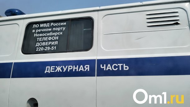 Двое мигрантов отобрали телефон у инвалида на станции Камышенская в Новосибирске