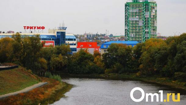 Платный мост через Омь: в Омске готовятся к старту строительства