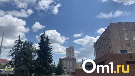 Бывший советник Буркова стал главой омского РЦСО