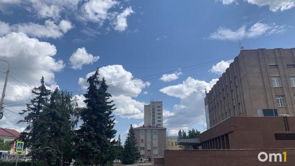 Бывший советник Буркова стал главой омского РЦСО