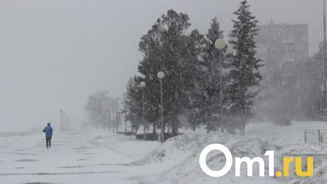 Американский рэпер Dizaster удивился тому, как омичи выживают в морозном городе