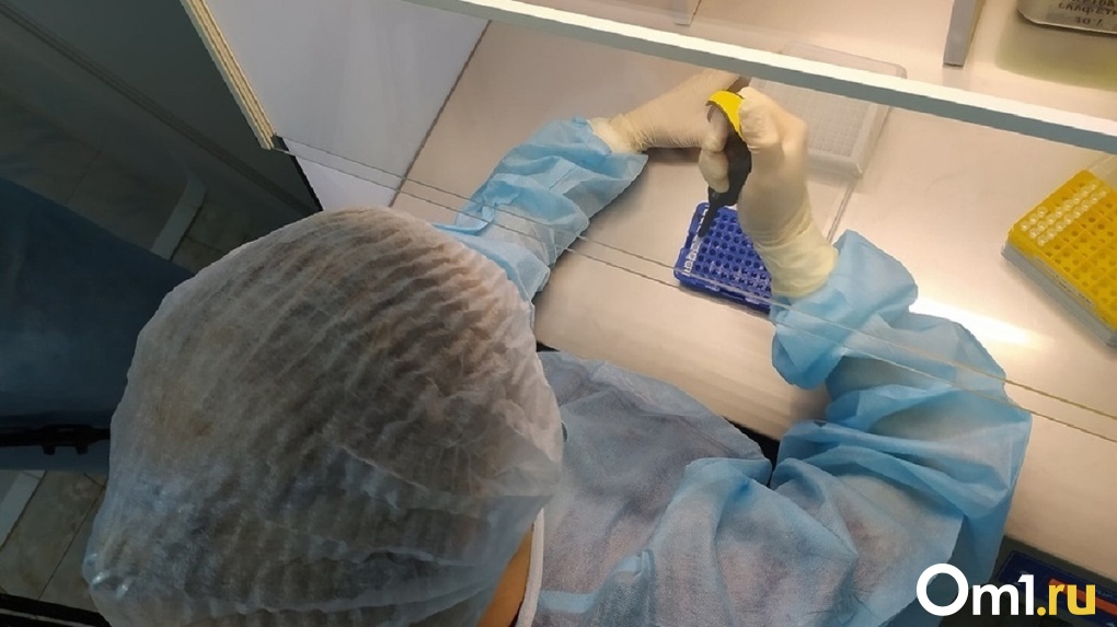 Вакцину против птичьего гриппа создают в новосибирском центре вирусологии «Вектор»