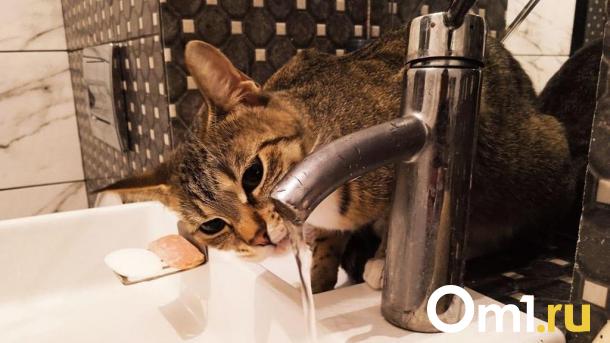 В Омской области ожидается масштабное отключение водоснабжения