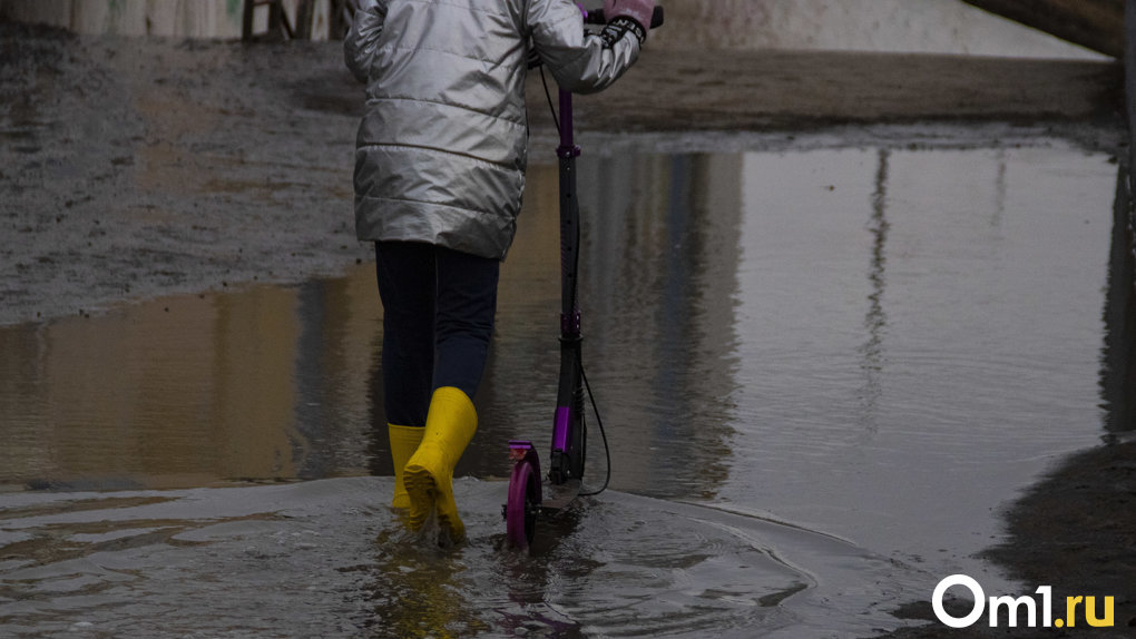 Дождь, ветер и холод: опубликован печальный прогноз погоды в Омске на следующую неделю