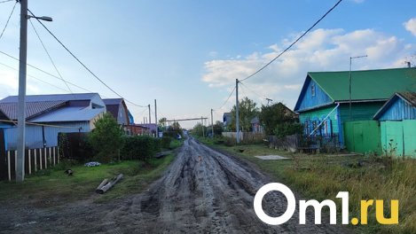 «Набрала для них кредитов». Что известно о маме убийцы сыновей в Любино