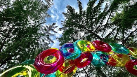 После падения девочки в верёвочном парке Новосибирска инструктор предстанет перед судом