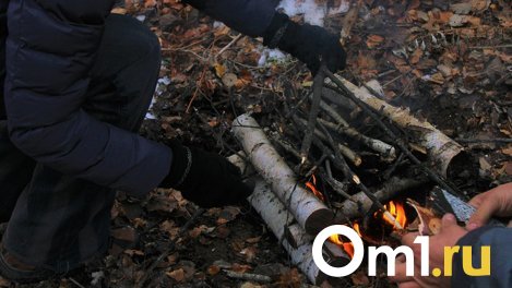 Омича оштрафовали на 40 тысяч за шашлык в неправильном месте