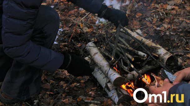 Омича оштрафовали на 40 тысяч за шашлык в неправильном месте
