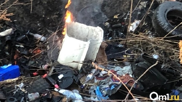 Пора убраться «дома»: в Омске приступают к ликвидации двух самых больших свалок области