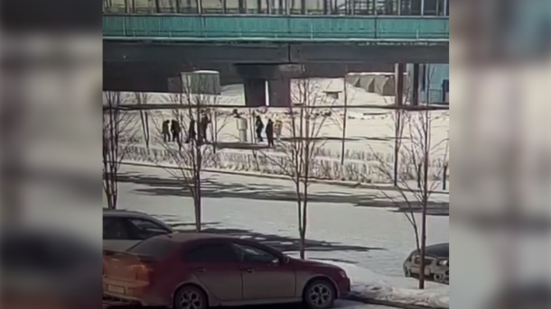 Новосибирская полиция разоблачила фейковое нападение на девочку-квадробера