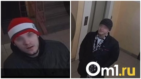 Квартиры хотят ограбить! Новосибирцев напугали подозрительные люди в подъезде. ВИДЕО