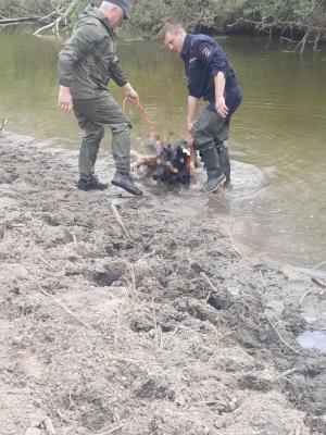 Забил коллегу деревяшкой: под Новосибирском пастух утопил тело напарника после расправы