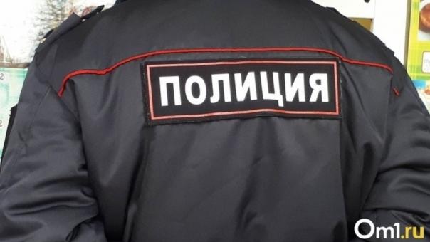 Полиция назвала район Новосибирска с наибольшим количеством краж из квартир