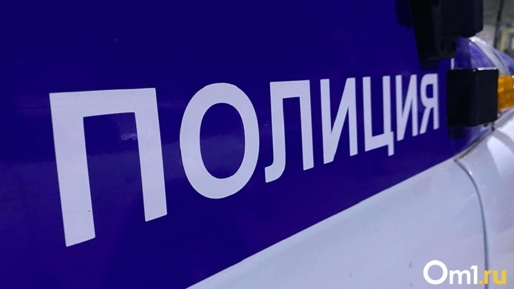Новосибирские водители нашли мумифицированный труп рядом с трассой