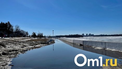 На самокатах по лужам. В Омске затопило Иртышскую набережную