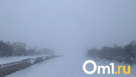 В воздухе омского Левобережья нашли три опасных вещества
