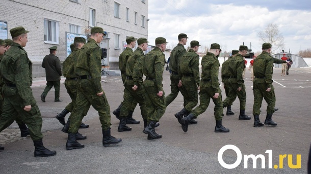 Почти сотню жалоб на частичную мобилизацию получила новосибирский омбудсмен
