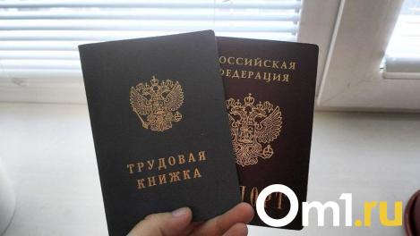 Названы пять профессий в Омске, где сотрудникам готовы платить от 100 тысяч рублей