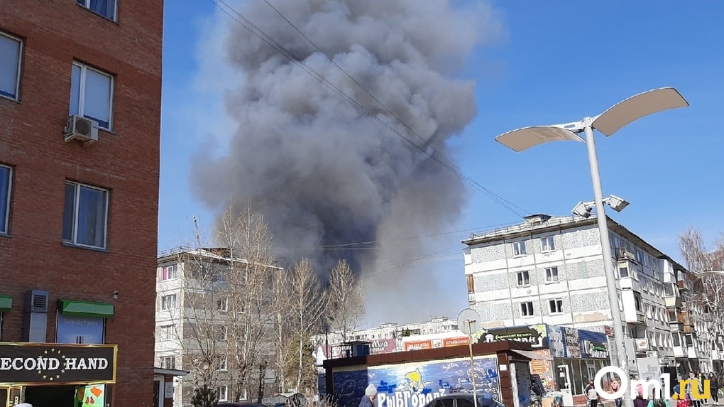 Лесное хозяйство объявило районы Омской области с высоким уровнем пожарной опасности