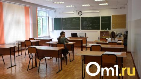В Омске стартует обязательное тестирование по русскому языку для детей мигрантов