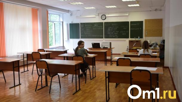 В Омске стартует обязательное тестирование по русскому языку для детей мигрантов