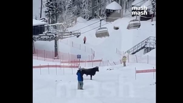 На популярном лыжном курорте, где отдыхают омичи, произошел неожиданный случай