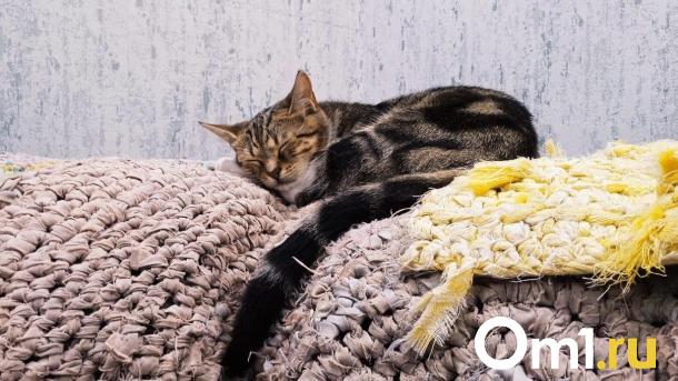 В Омске свыше тысячи зданий остаются без ГВС накануне старта отопительного сезона