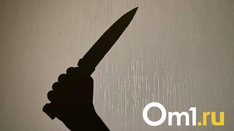 Новосибирская область заняла 42 строчку в рейтинге по преступности