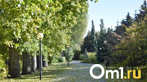 Мощное потепление сменит дождливую погоду в Омске